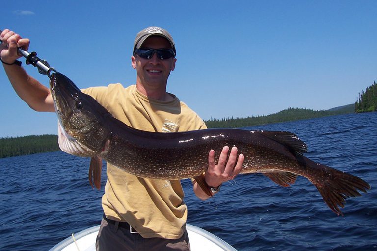 Walleye and Pike fishing on Nancy's Lake Caesar's North Camps
