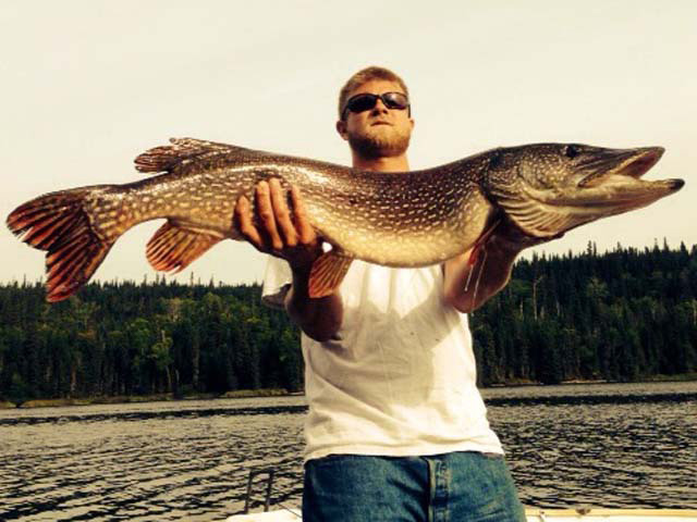 Dave Luginbuerlon Gouin 1 with a great pike trophy