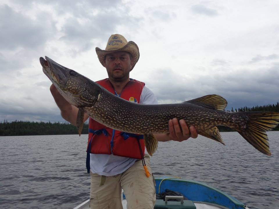 Walleye fishing trophy for Pierre Giard and friend on Impossible Lake